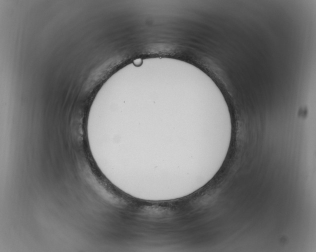 X0000112210633200909041342