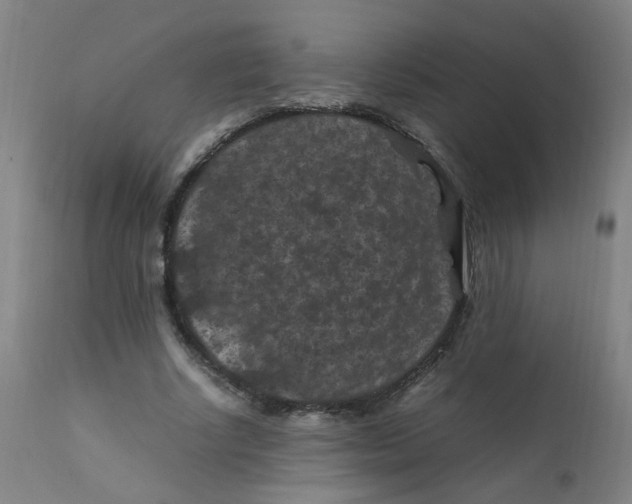 X0000112210634200909041342
