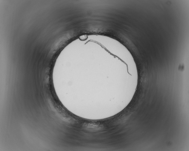 X0000112210635200909041342