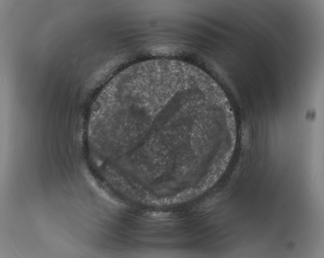 X0000112210637200909041342