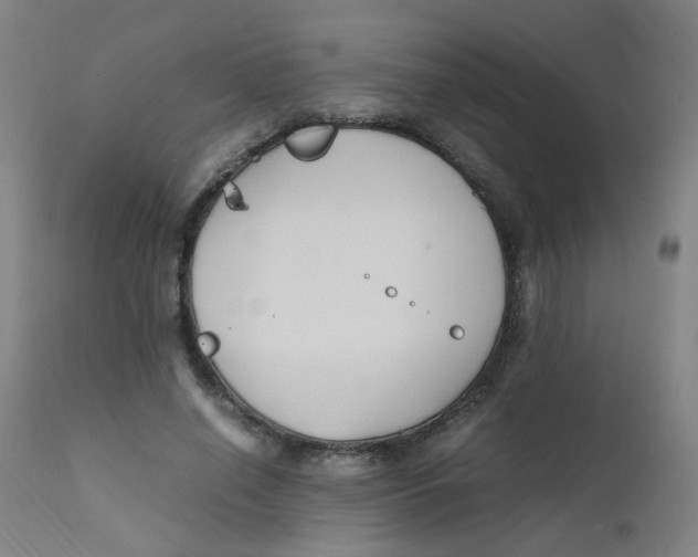 X0000112210638200909041342