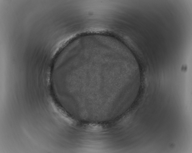 X0000112210640200909041342