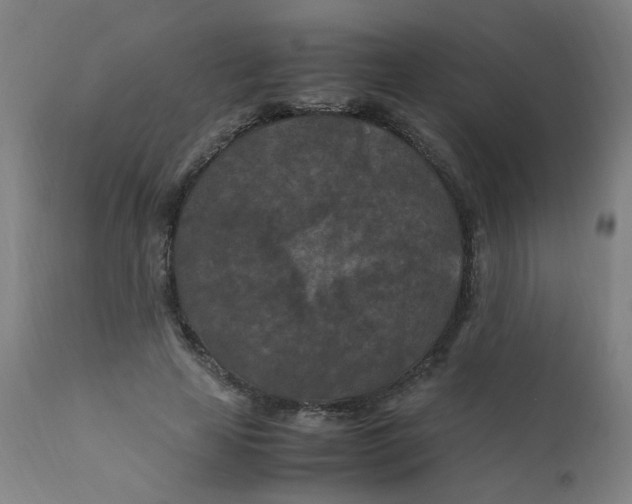X0000112210641200909041342
