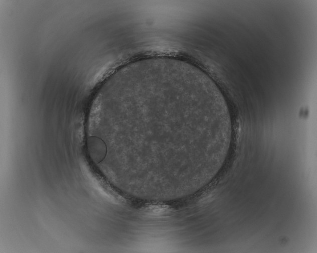 X0000112210642200909041342