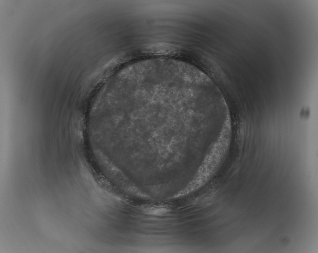 X0000112210643200909041342