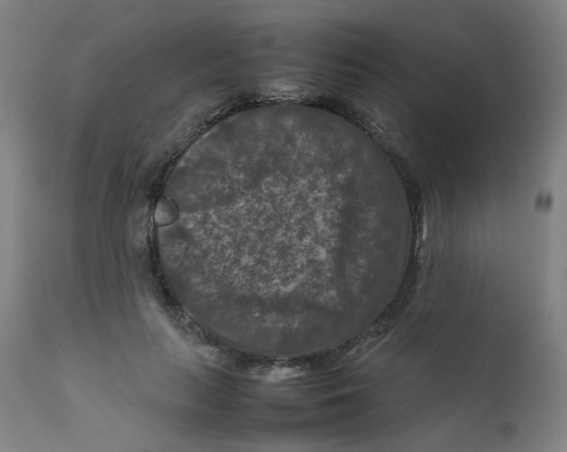 X0000112210647200909041342