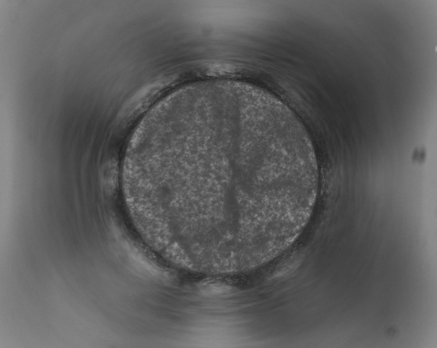 X0000112210648200909041342