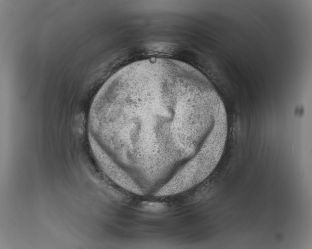 X0000112210649200909041342