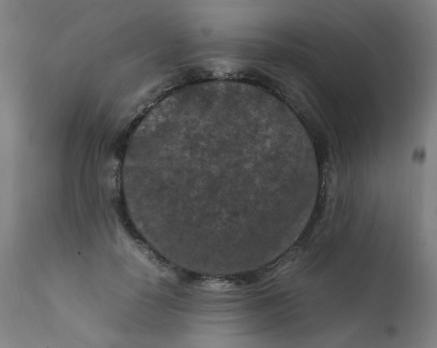 X0000112210650200909041342
