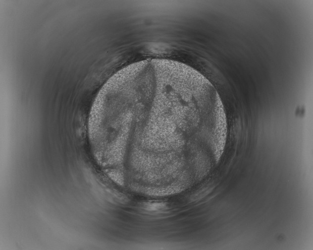 X0000112210651200909041342