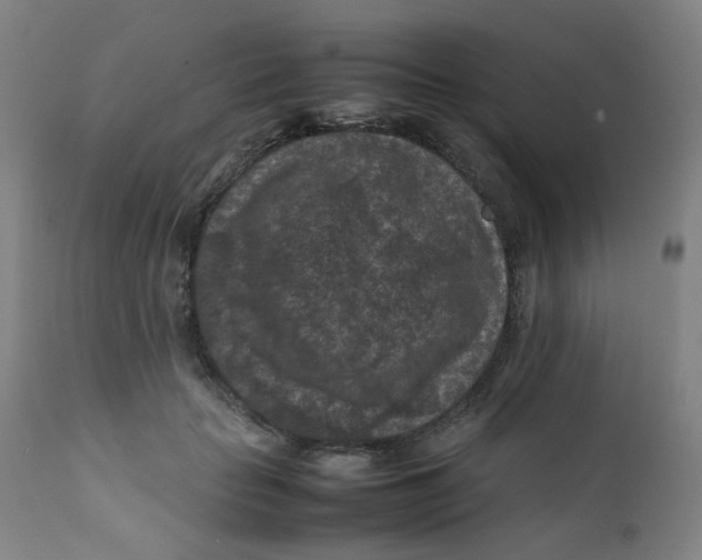 X0000112210653200909041342