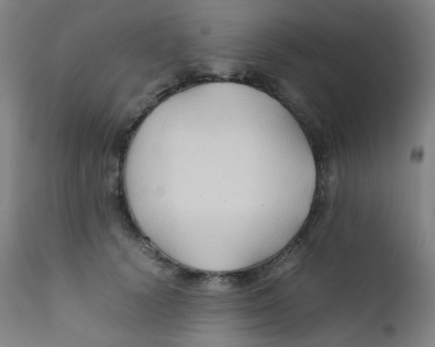 X0000112210656200909041342