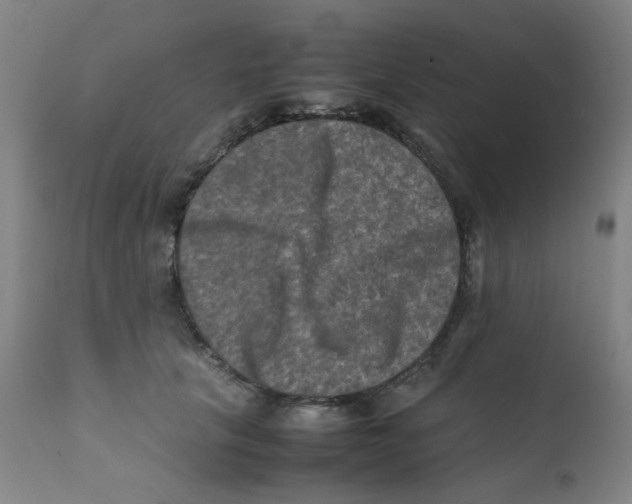 X0000112210657200909041343