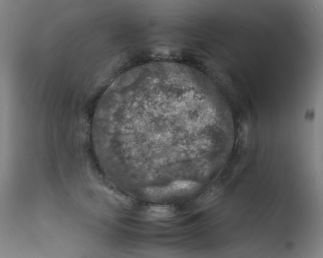 X0000112210659200909041343