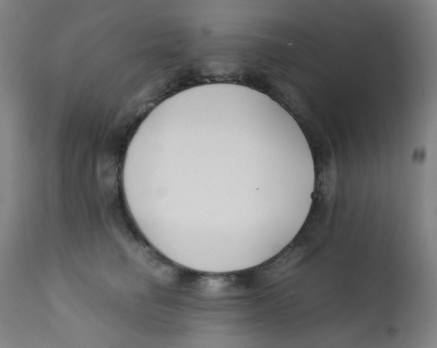 X0000112210662200909041343