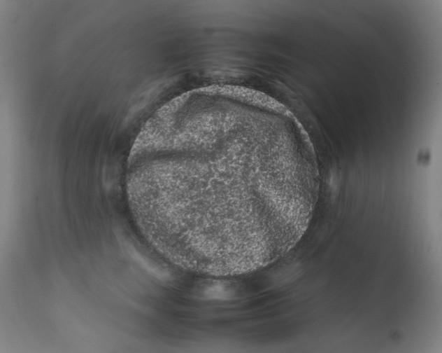X0000112210663200909041343