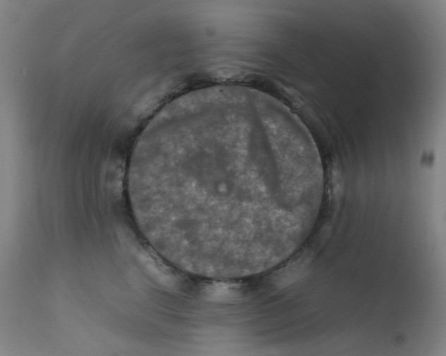 X0000112210664200909041343