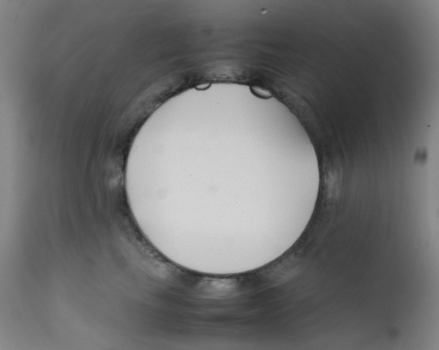 X0000112210665200909041343