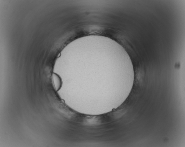 X0000112210667200909041343