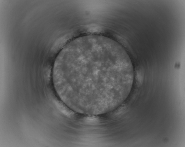 X0000112210668200909041343