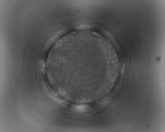 X0000112210669200909041343