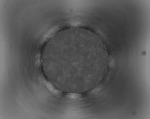 X0000112210670200909041343