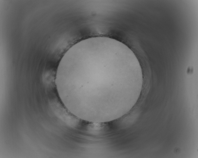 X0000112210672200909041343
