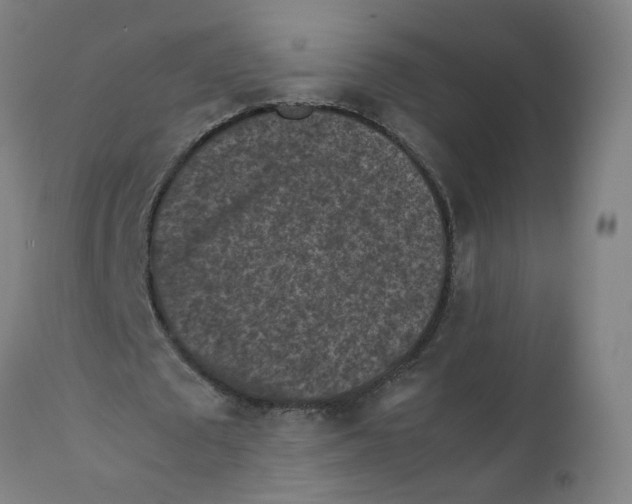 X0000112210673200909041342