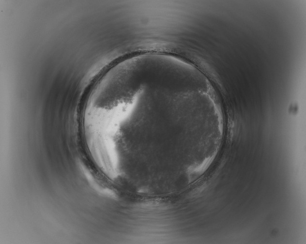 X0000112210674200909041342