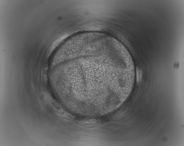 X0000112210675200909041342