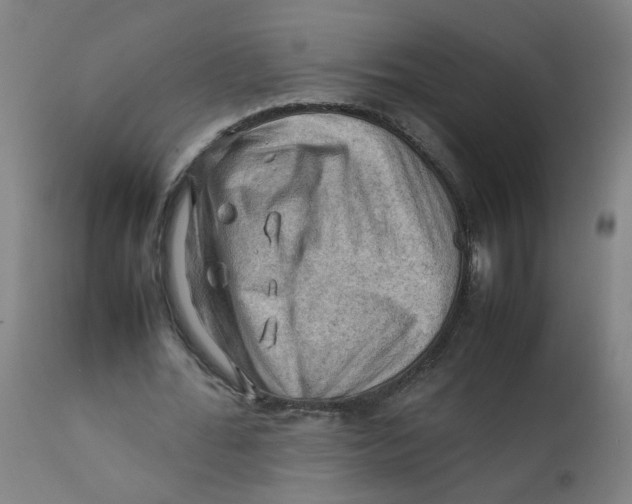 X0000112210676200909041342