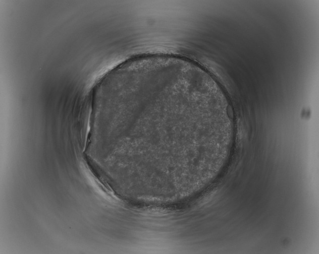 X0000112210677200909041342
