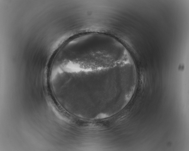 X0000112210678200909041342
