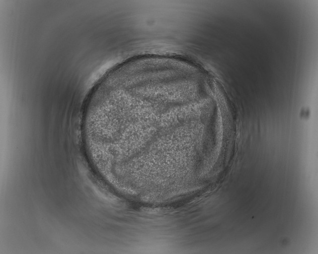 X0000112210679200909041342
