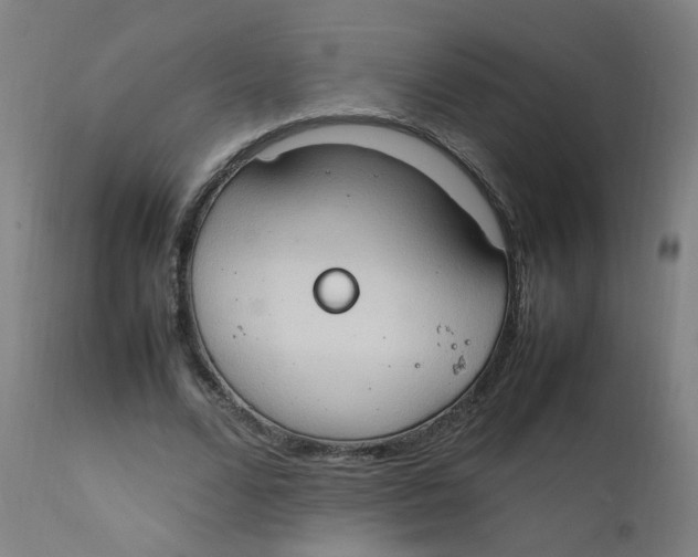 X0000112210680200909041342