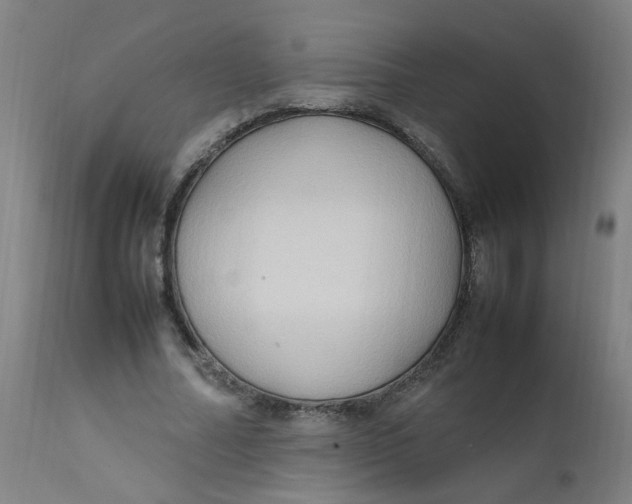 X0000112210682200909041342