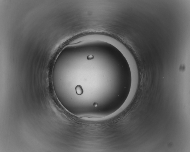 X0000112210684200909041342