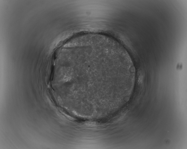 X0000112210685200909041342