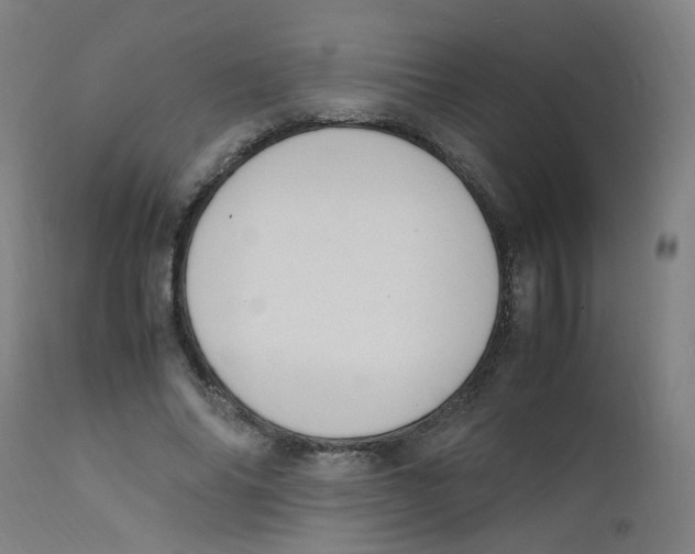 X0000112210686200909041342
