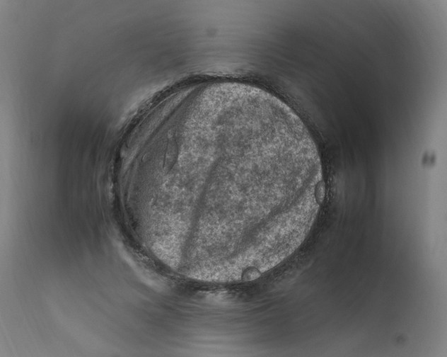 X0000112210688200909041342