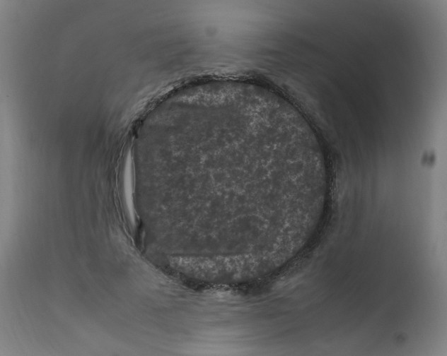 X0000112210689200909041342