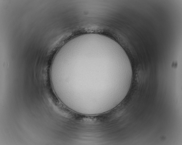 X0000112210690200909041342