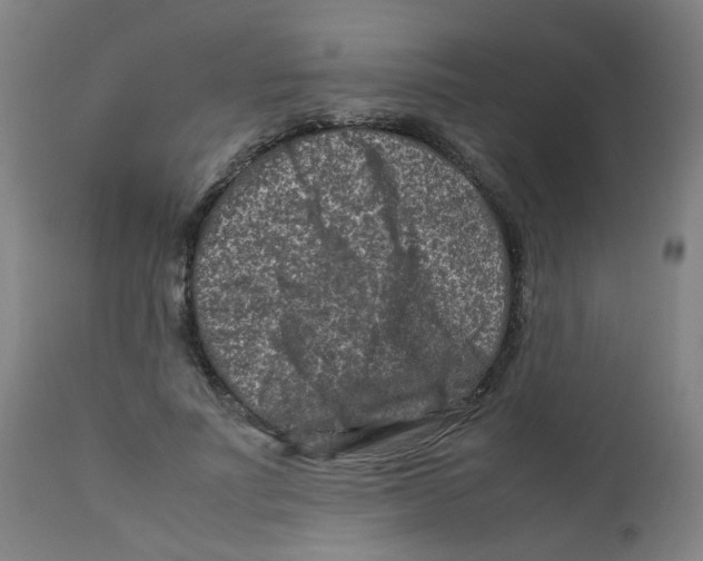 X0000112210691200909041342