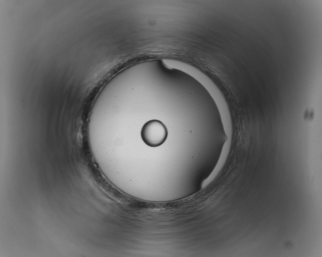 X0000112210692200909041342
