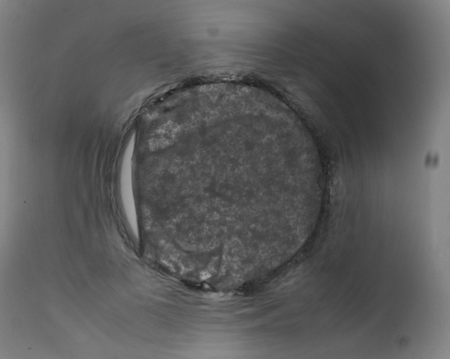 X0000112210693200909041342
