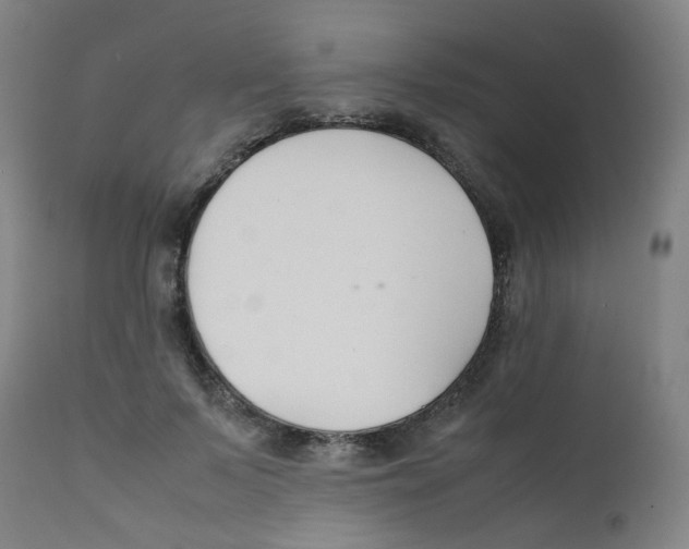 X0000112210695200909041342