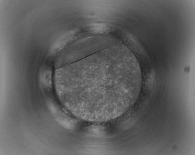 X0000112210696200909041342