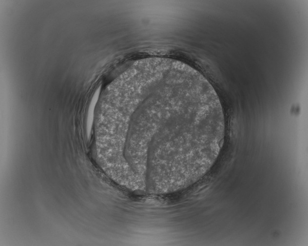 X0000112210697200909041342
