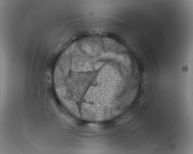 X0000112210699200909041342
