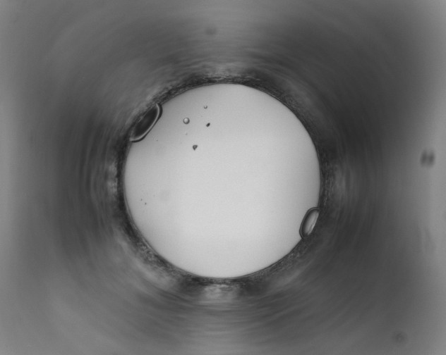 X0000112210700200909041341